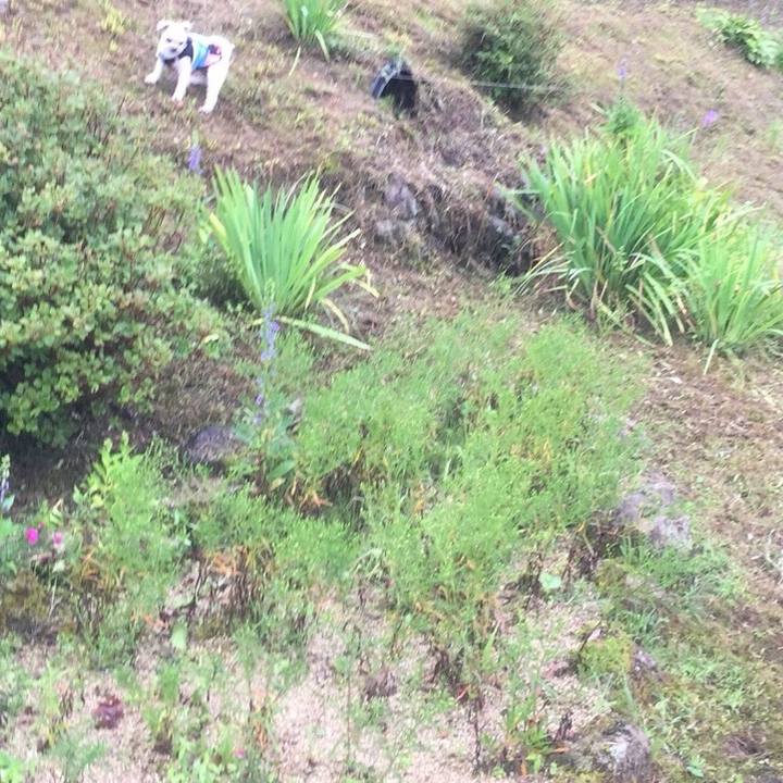 677cf999 a6f6 4e54 9077 7a4b20b3ca01 1535969419385