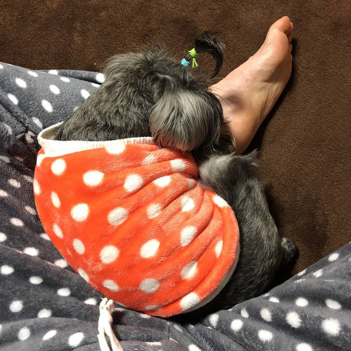 677d60cc 5d19 4de1 9bea acda20d4ded9 1519488091388