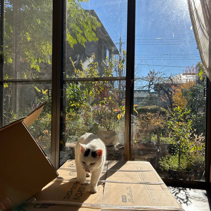 677d7ca0 3cc2 46c6 add3 a0dc4139b991 1733459669843