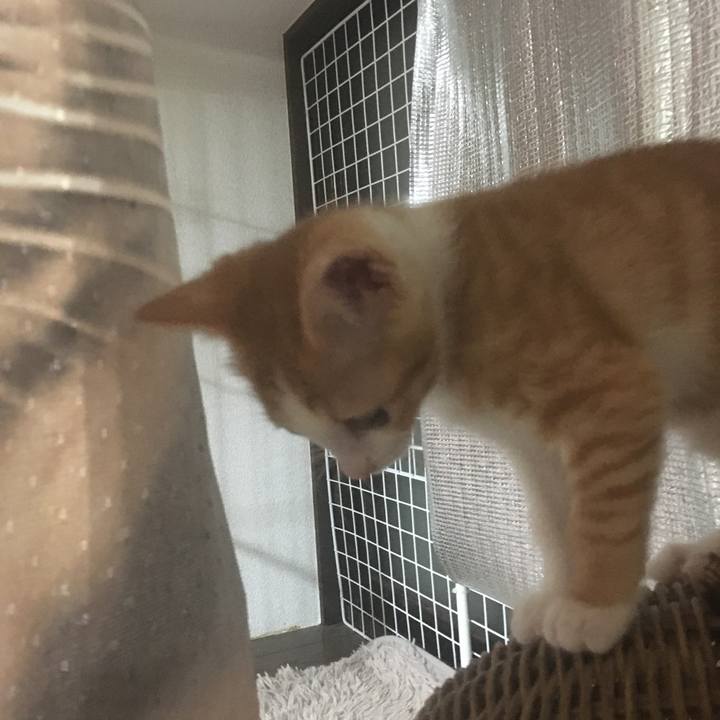 677d84ac 7426 47f3 a05e 74b4bb697278 1630338494677