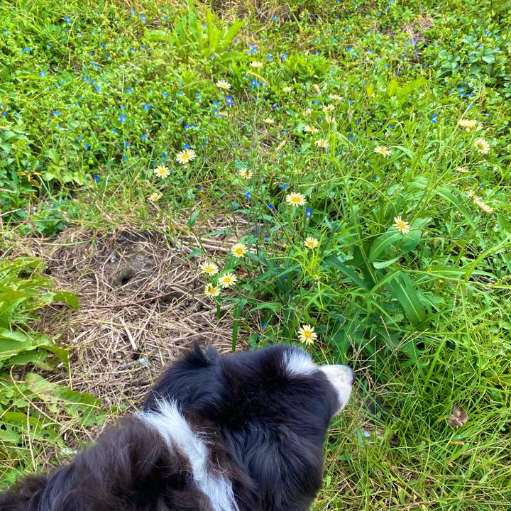 677da649 3299 405b 8107 7aac4c5b5839 1697260737667