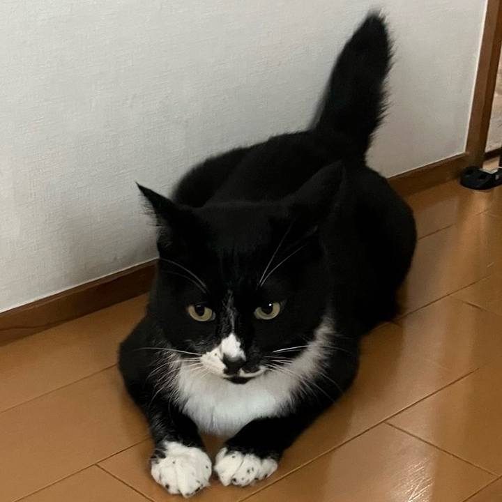 677df25e 7a65 4c13 a8bf 0d62dbc18daa 1726026189038