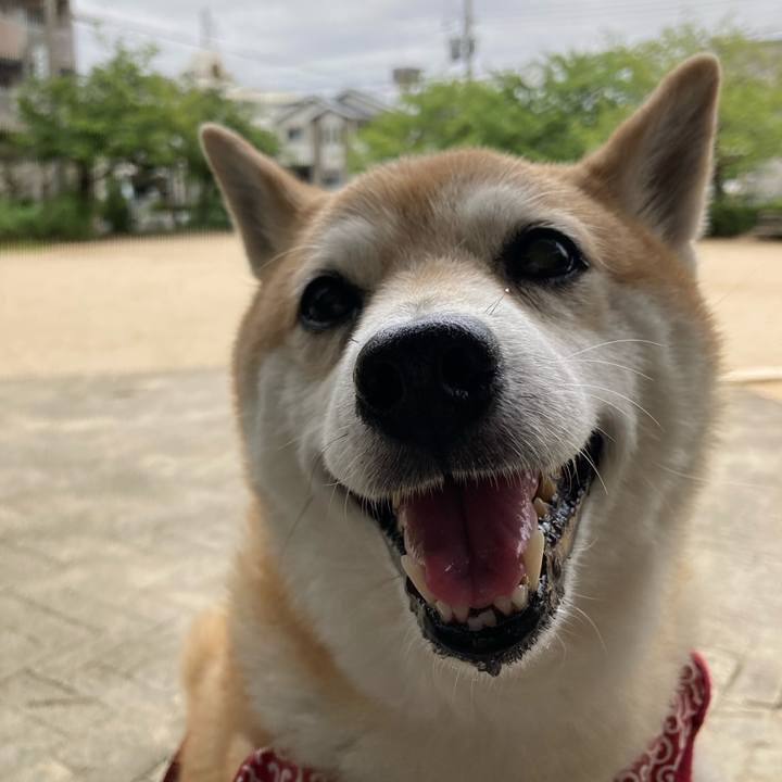 677df667 714d 4d36 b285 0c31f580a47e 1629115210721