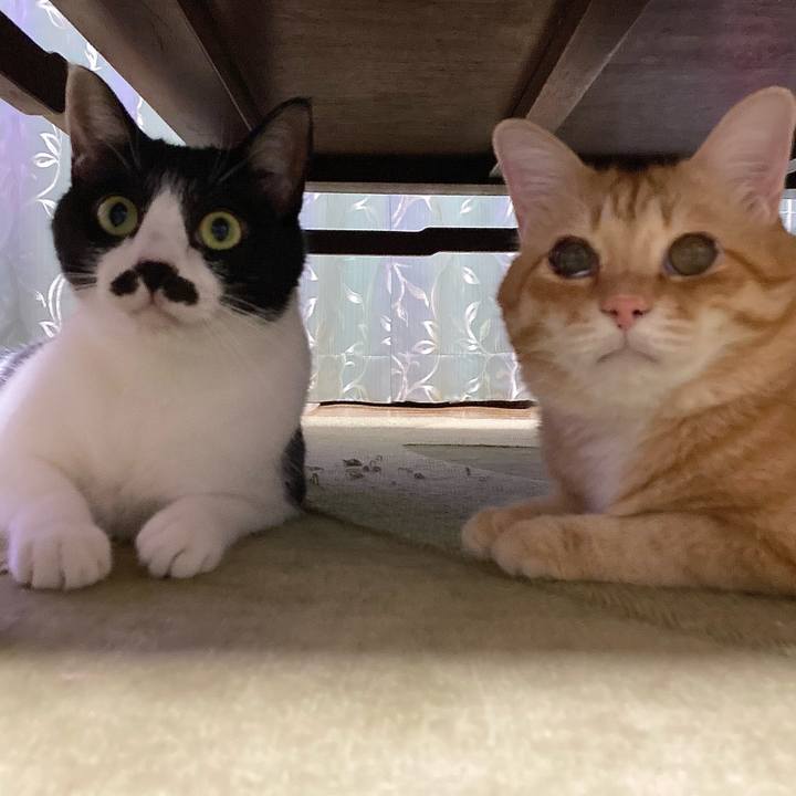 677e3188 99c3 496c 9e66 c9ce5e923b6e 1756904077299