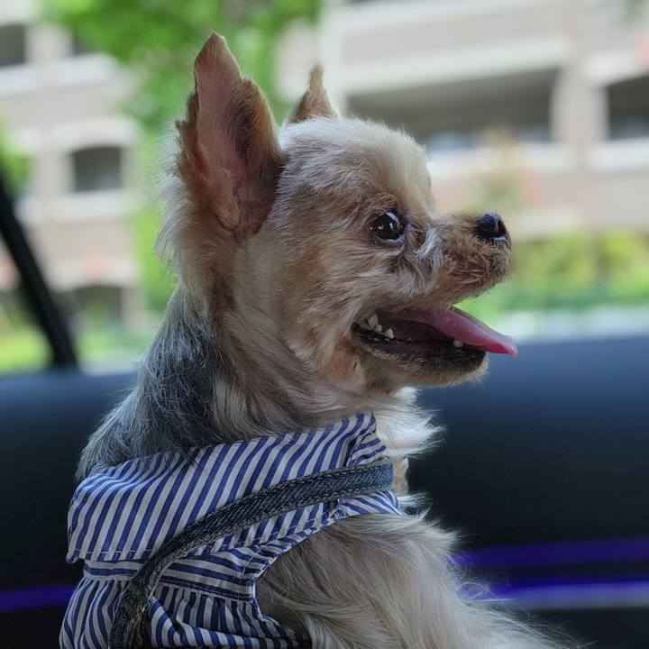 677e4635 7eb4 4778 b32f 2e0f89af83a8 1765326482841