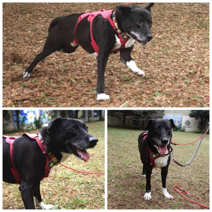 677e9112 af2e 43d7 ab5a e0e8052a0fdb 1698459670804