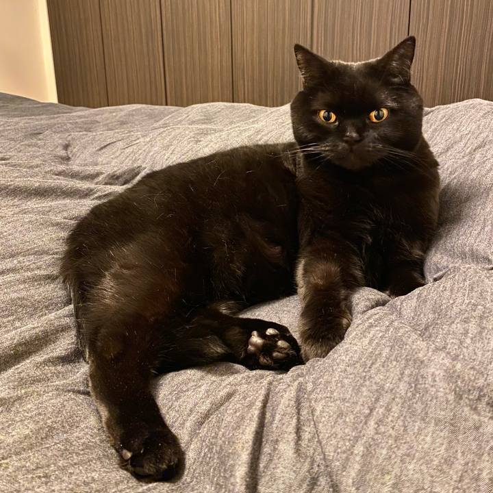 677ea698 afa8 42ee b47b ad5b1fd31f16 1674133557658