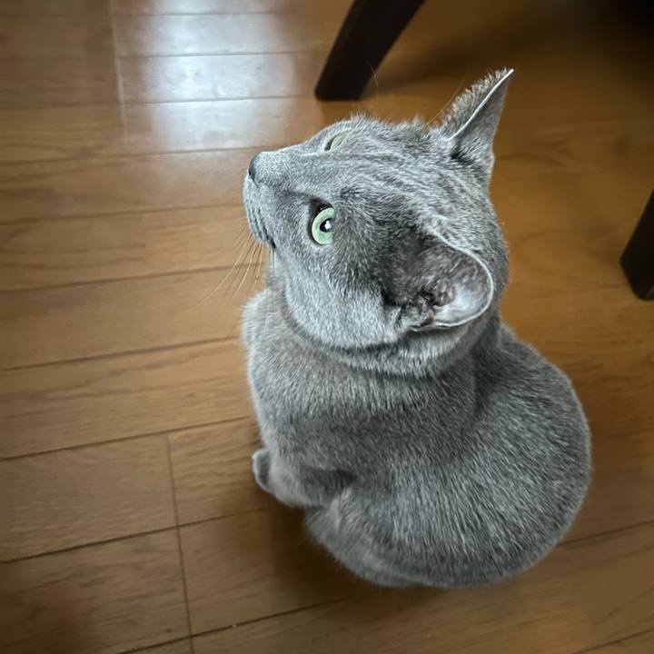 677ee155 08e7 4661 91ae e59aa1e8d751 1711492004203