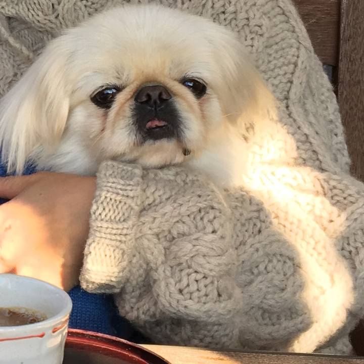 677ef793 c933 4016 bc58 c42fb3a094d7 1542153814633