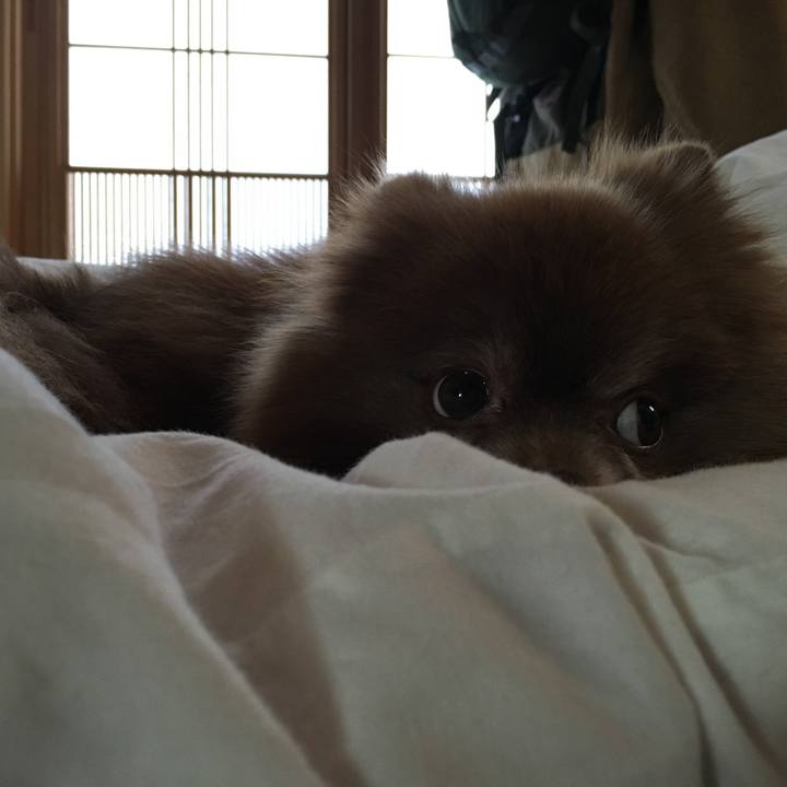 677f0e56 c427 459d b6a9 f0d22251479e 1516508648561