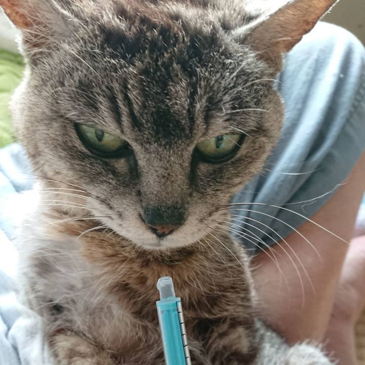 677f1307 f900 47b8 bc41 1600e530858e 1596579855864