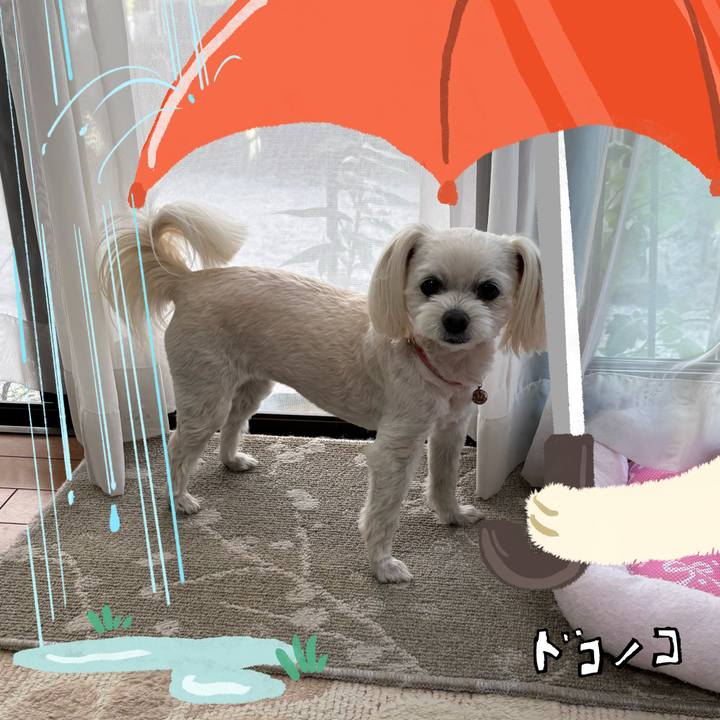 677f2df5 44be 4ef5 a3af 967fc1469f8c 1749372379557