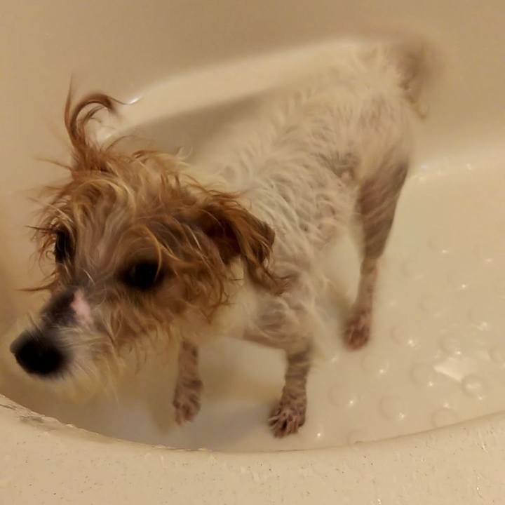 677f450c 6423 455b 9c4e 5c23b7cbd7cf 1542549915009