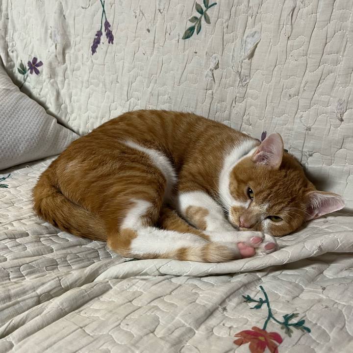 677f4acf 8e7d 4a1e 9f77 03e4bf1563d0 1671610195350