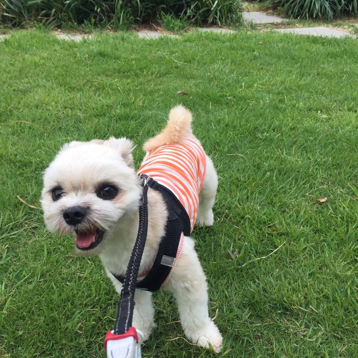 677f544c f61b 4636 809a f634c8b4ba33 1533204271906