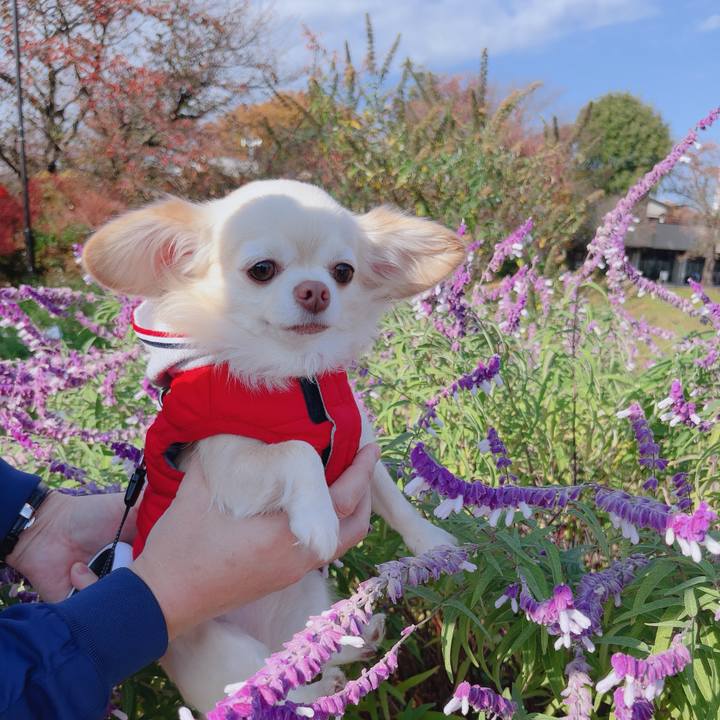 677f5554 e4a0 4e3f 8bea 1f9f694b4b1b 1763369877431