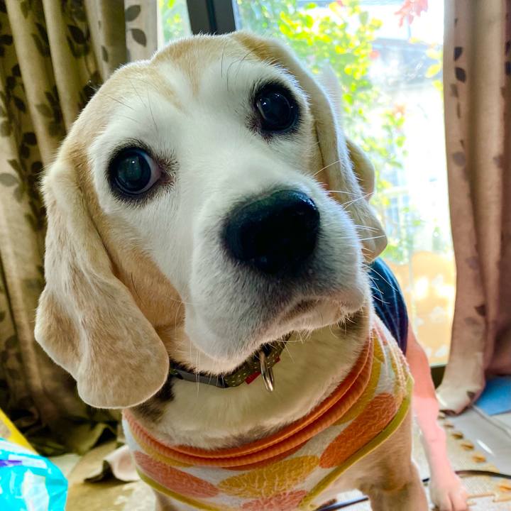 677f6f84 dc88 4c5a 8358 d4d09ce252cc 1639023607575