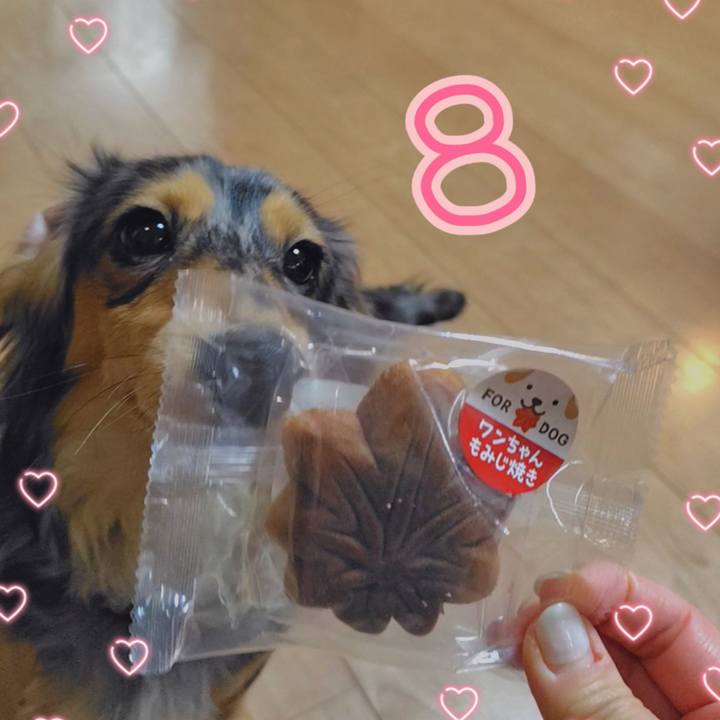 677f9bb0 a5ad 4305 ab25 09d75b79da71 1710587525959