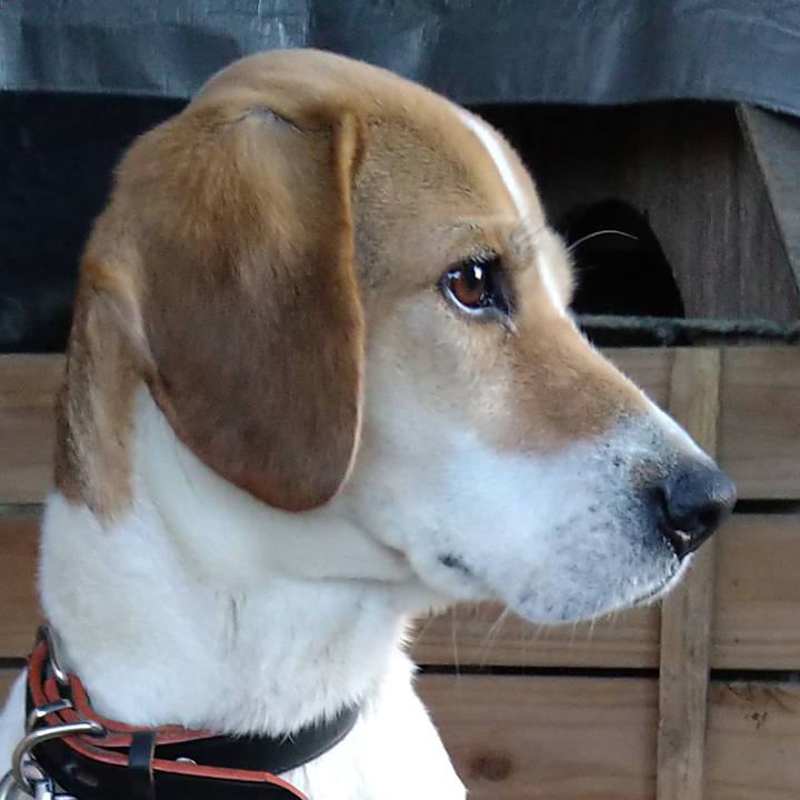 677ff612 cbff 42cd 9b8f 2650301eddce 1643816095916