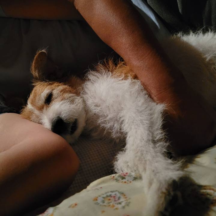 67800167 99fc 4067 80e1 93429126537e 1754334613351