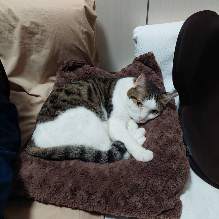 67800d59 ec2b 484d 94af 0fb203aa65e3 1635715719098