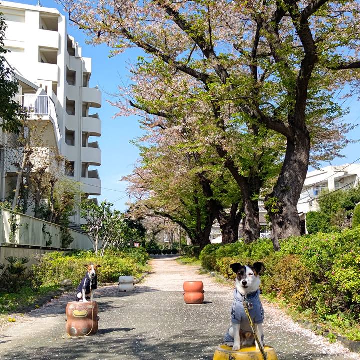 67801995 1c9e 49b3 9f7f ccdb1724fc28 1712970758671