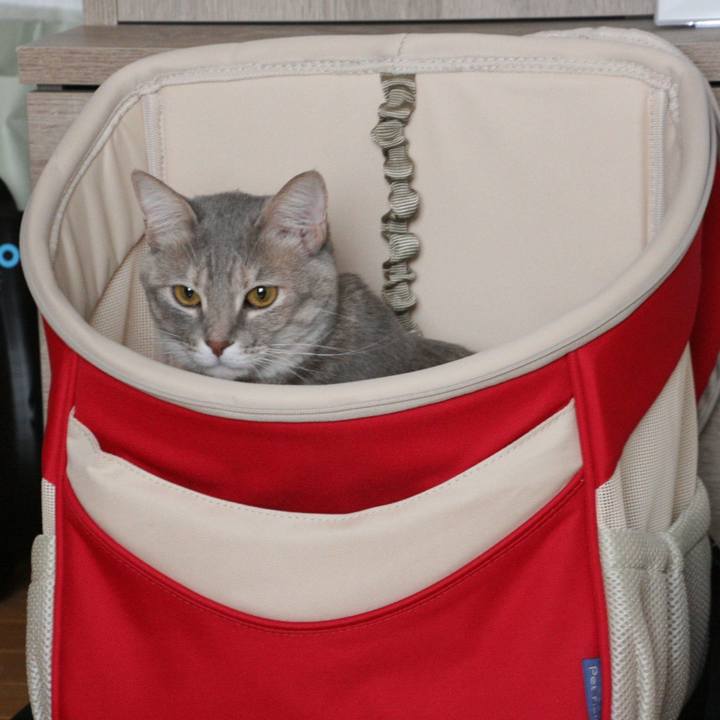 67802d94 ceb7 4024 b758 0380627e5558 1518237763837