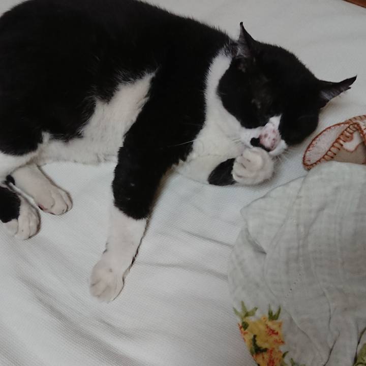 678033e9 b50d 4678 b4bd 5d07ab28b8ee 1535812585150