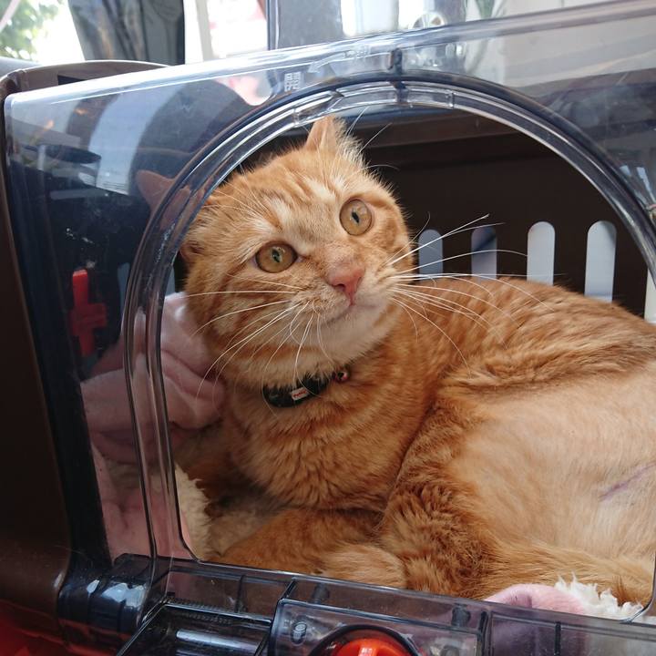 678064eb 2e91 42a7 ab5b 092e24334a73 1655596068135