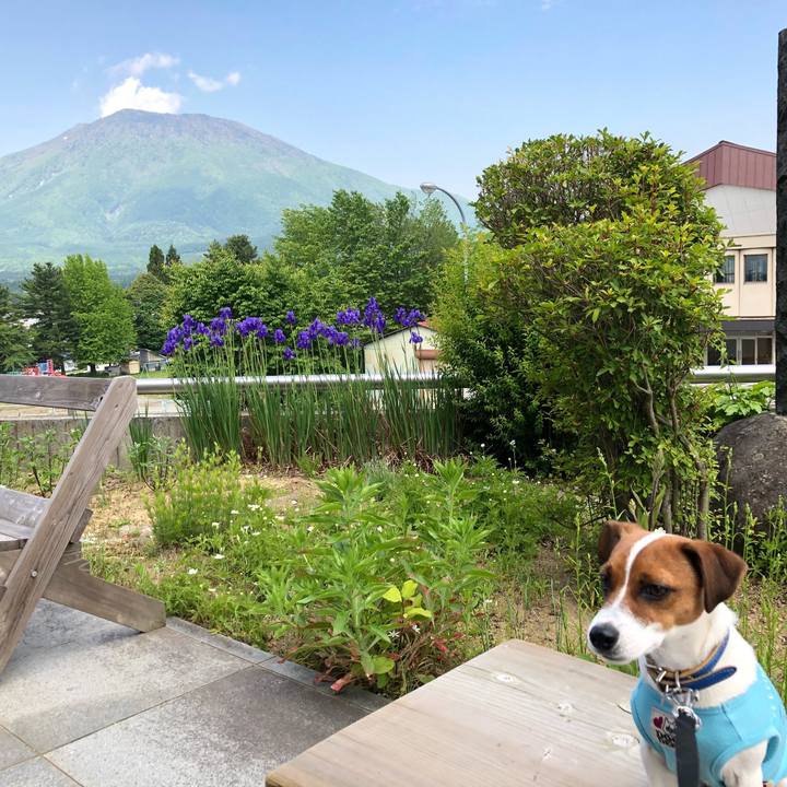 67806c0b b3a1 4074 a8ef a631c4264c50 1527469014506