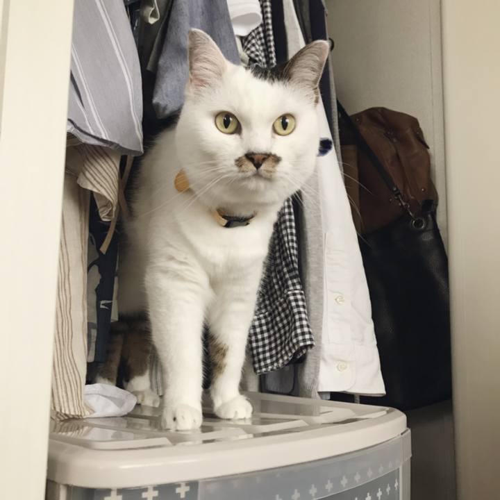 67808555 700e 41c0 8b30 6c42581ab06f 1564031010298