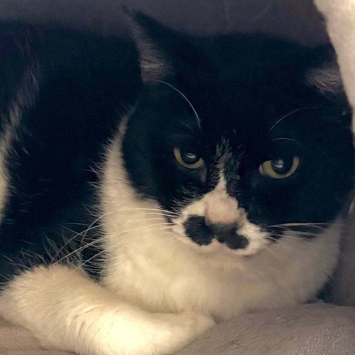 6780bfd8 2b13 449d adb9 b6ff76f15f51 1732403438233