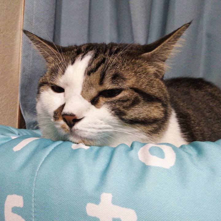 6780c084 a7b4 4871 ace6 18e0f9c2f343 1665018168686