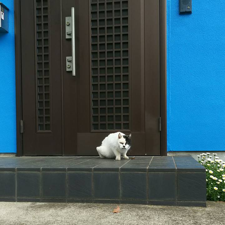 6780f01e ad1b 4851 bc3a ceda29031d6a 1523087457195