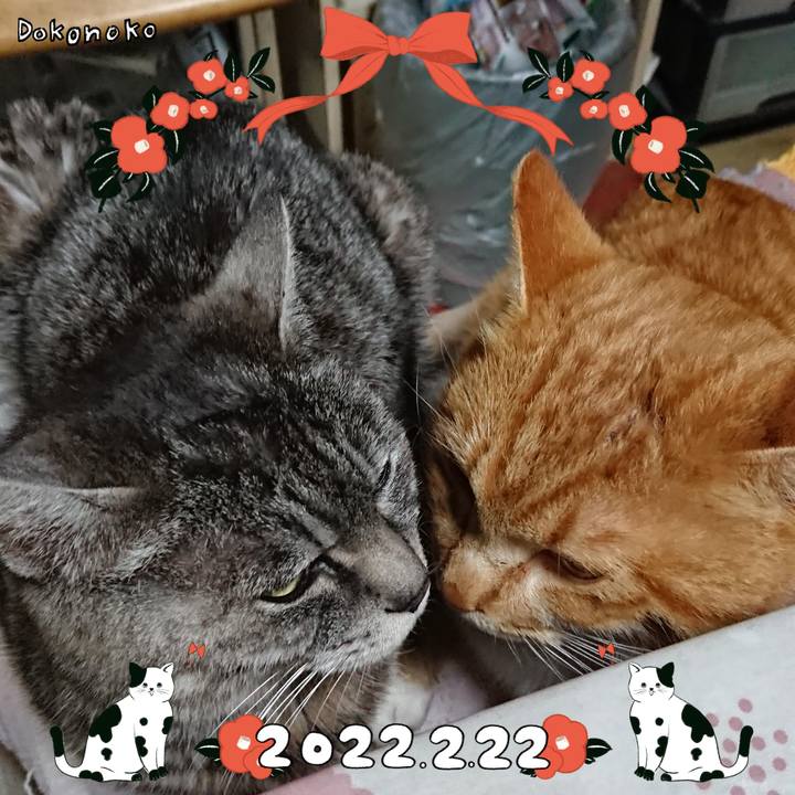 6780fba8 84e6 4c21 a222 0cdb3ecd38e3 1645499026477