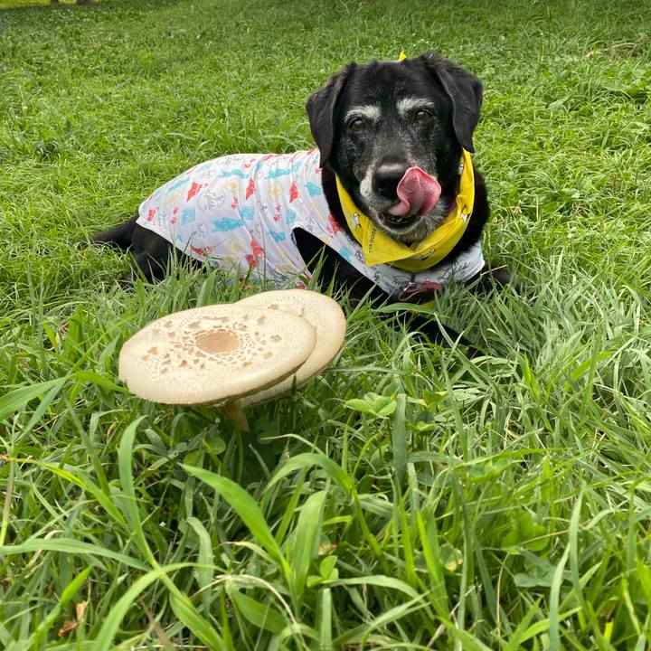 67810340 d900 48f6 a6d4 7f457d84b4e3 1721375589089