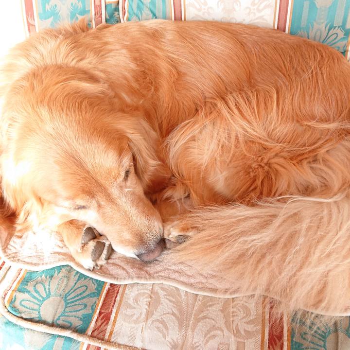 678113d0 de93 416a 9715 8b2f06cc08c1 1576284675781