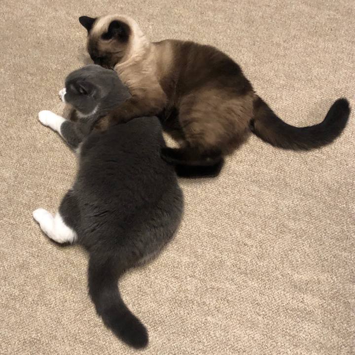 678115c7 600b 422a 89d7 debb90cd27af 1632349704275