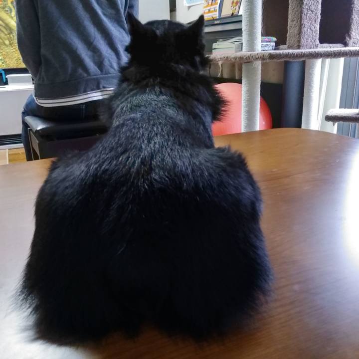 678129ca c849 475f ac11 85b216d3caf1 1550664177378