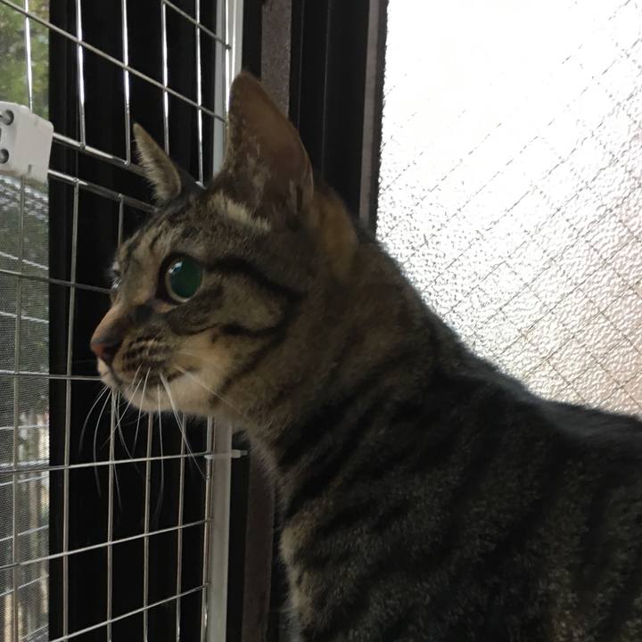 678141d1 fa35 4714 a94d 91407fa8f637 1519782635492