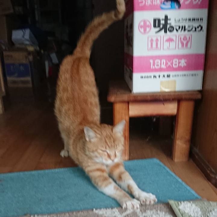 678174a2 14c9 4143 9385 27caeb1b7a6d 1560245917915