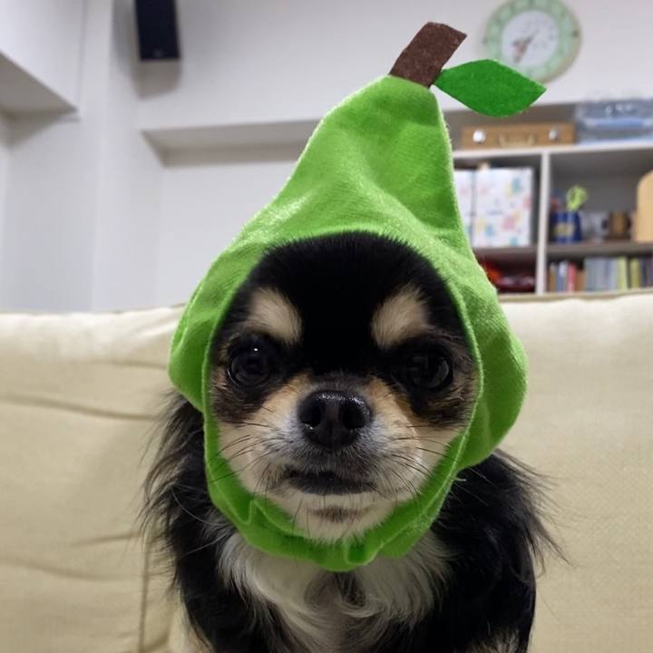 67817f1c 6d8b 4c8e 92f2 0746d4583074 1615847614948