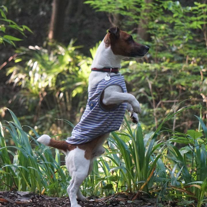 6781880b 5b44 4beb a19e 2d18906a7fc7 1526682887524