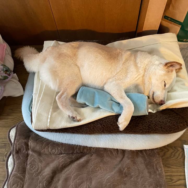 67819780 434c 45b3 962e a7be9c51bab3 1635603309334