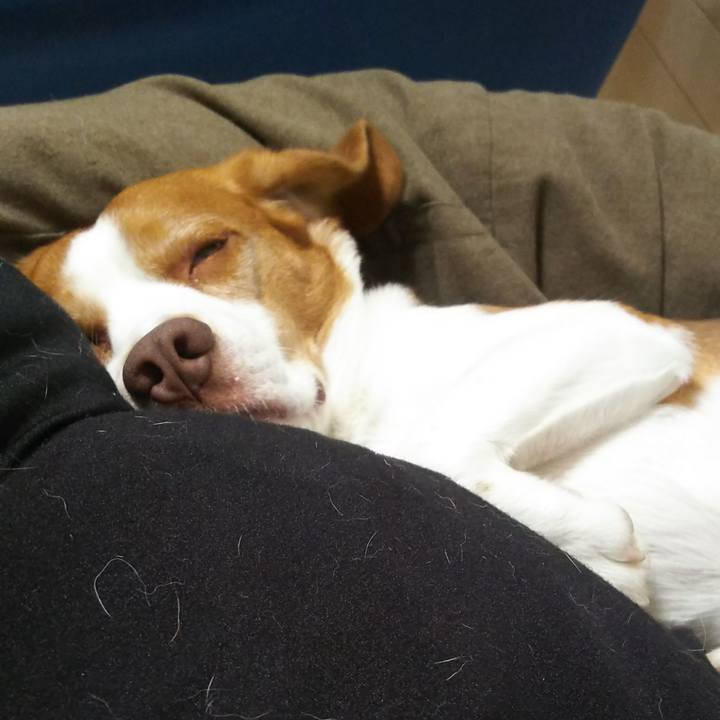 6781eda5 183a 4e99 b5b1 acf3bcb48011 1603024456526