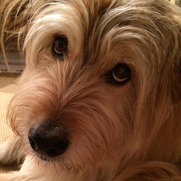 678214ce a34b 4014 bb86 2620db536c17 1648871861088