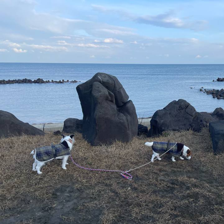 67824884 d7b1 4db8 8c51 9e7bb18052f1 1739678785046