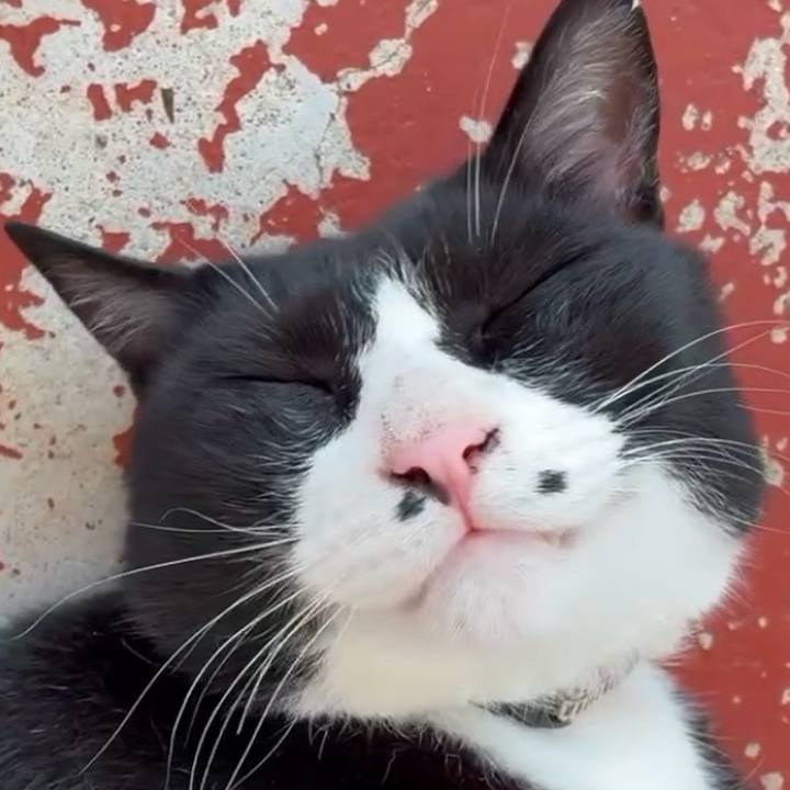 67825b15 9368 46f9 82f8 4a26f0f05436 1752288712479