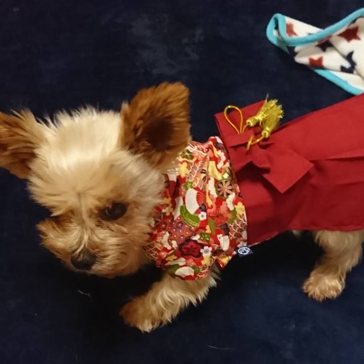 67826327 744f 4a52 875a 5cc9d86c2845 1535108954550