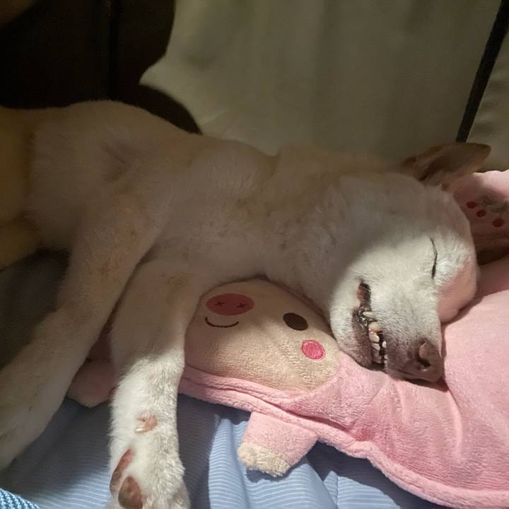 67826e49 b103 4ca3 a41a b76ce5f6ed06 1658169830030